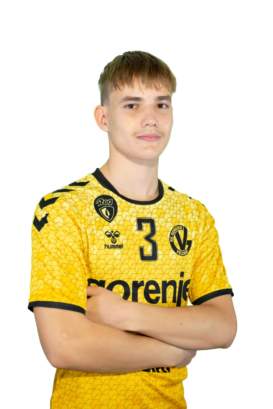 Domen Pungartnik