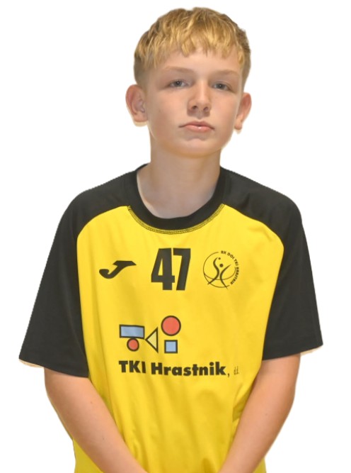 Žiga Gerčer