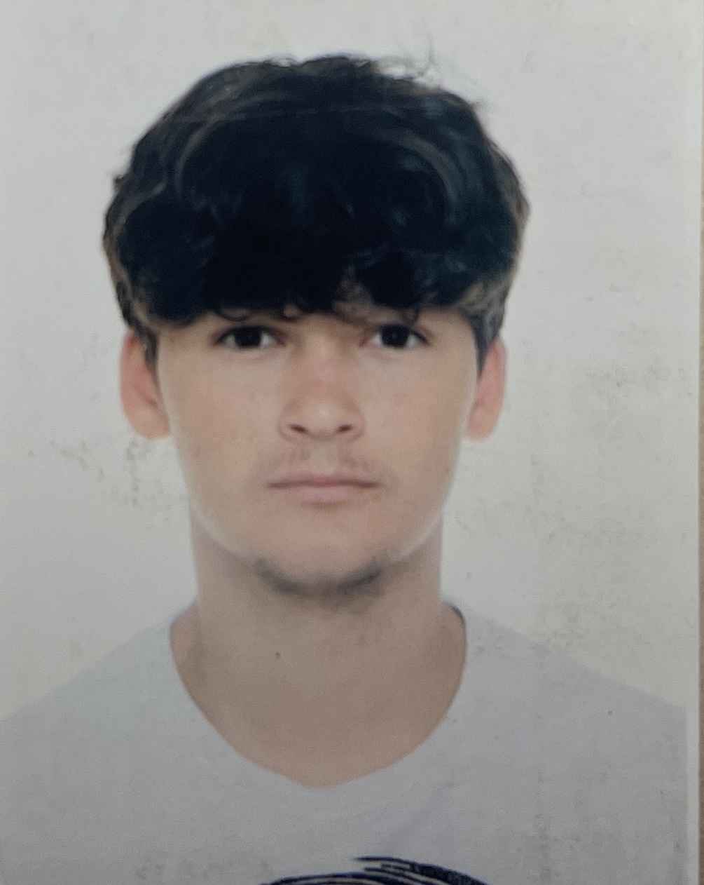Nenad Nešić